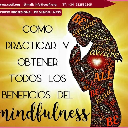 Curso  MINDFULNESS y GESTIÓN EMOCIONAL
